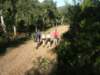 Photo Number 13