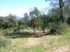 Photo Number 6