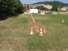 Photo Number 5