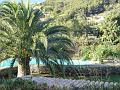 P1060029_(1)