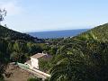 P1060031_(1)