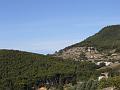 P1060033_(1)