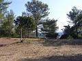P1060035_(1)