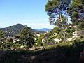 P1060045_(1)