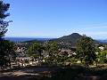 P1060046_(1)