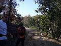 P1060050_(1)