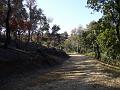 P1060051_(1)