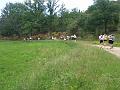 RAID_NANS_les_PINS_06_2008_FRED_019