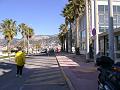 DSC00517