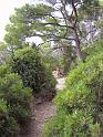 PICT0017