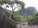 PICT0021