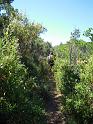 DSCN0838
