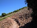 DSCN0930