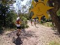 DSCN0964