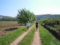 2011_0417BY
